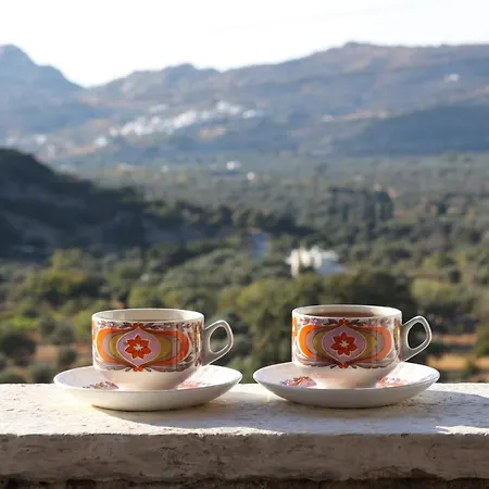 Fasolas Square House 