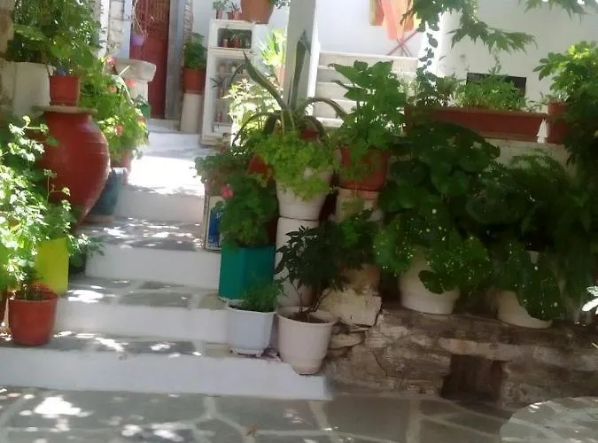 Fasolas Square House 