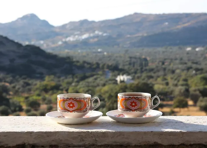 Fasolas Square House 