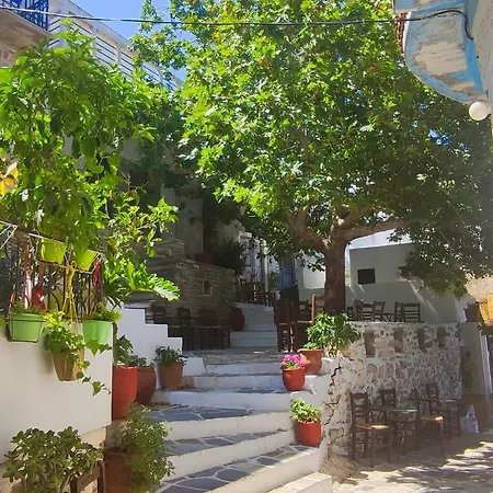 Fasolas Square House 