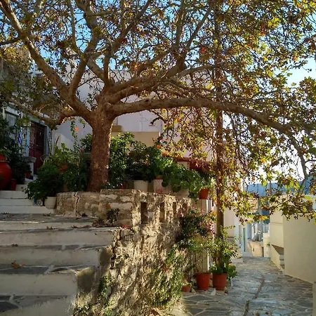 Fasolas Square House 