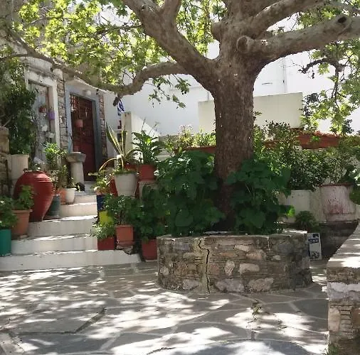 Fasolas Square House 