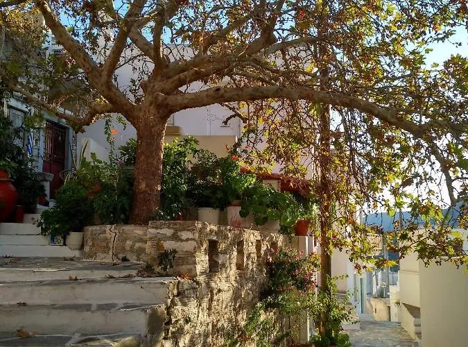 Fasolas Square House 